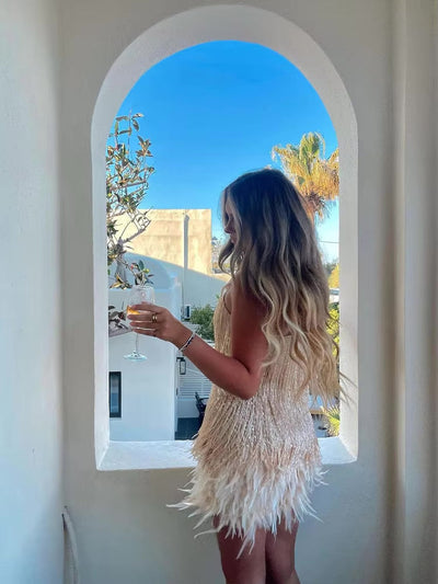 Brielle - Minišaty s peřím